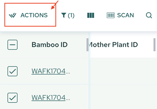 Screenshot_2023-01-17_at_11.30.02_AM.png