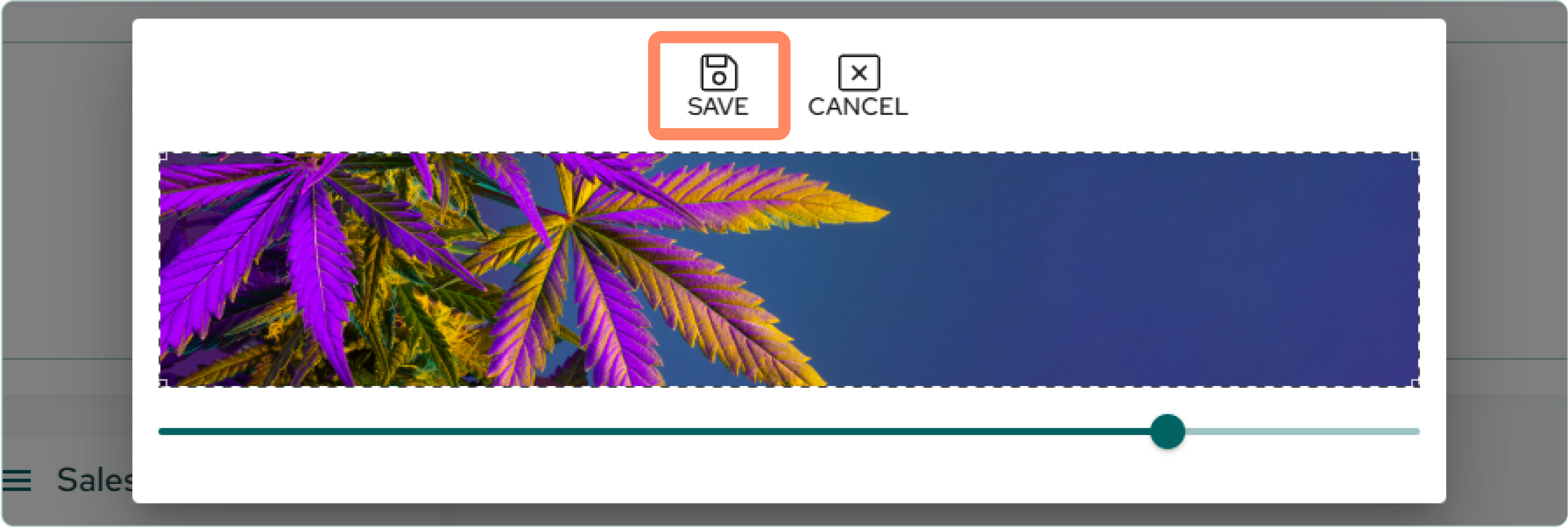 Offer Menu - Header Image (1).png